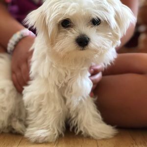 Meet your Posher, Connie